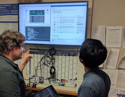 Thom Cuddihy (left), an RCC bioinformatician/software developer, demonstrates the cloud compute environment to Microbial Genomics Lab student Budi Permana. (Photo: Rhys White, Beatson Lab.)