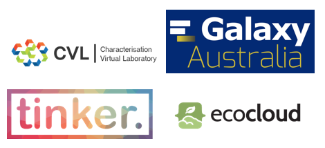 CVL, Galaxy Australia, Tinker and ecocloud logos