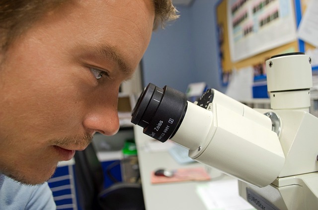 A researcher using a microscope